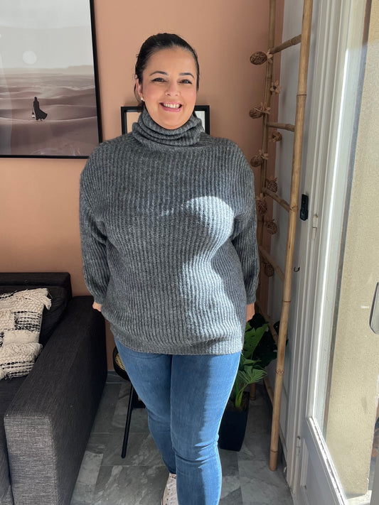 Pull col roulé gris