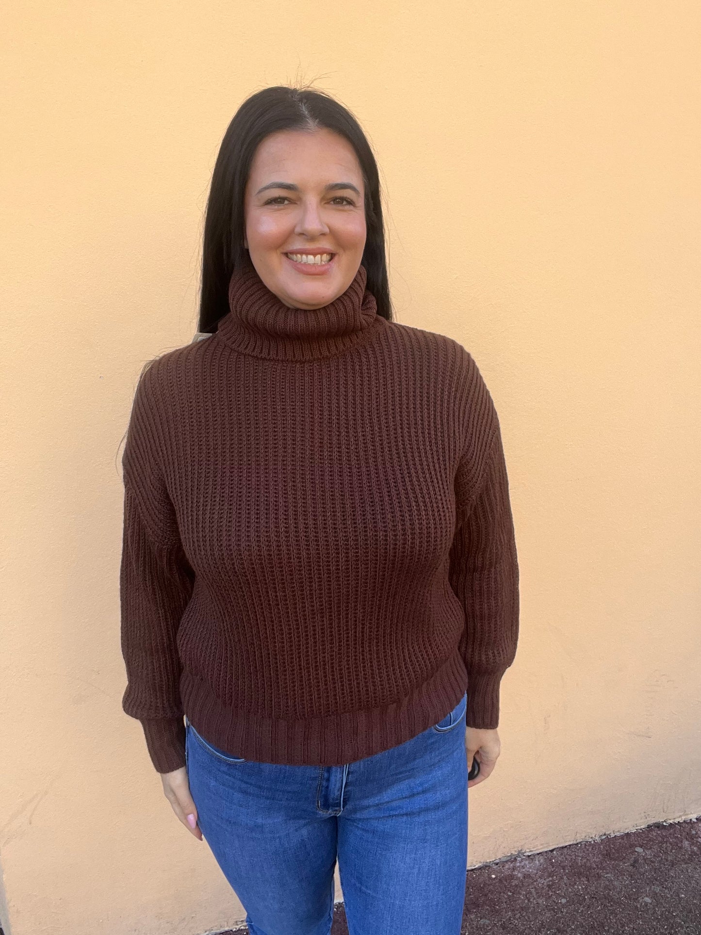 Pull col roulé